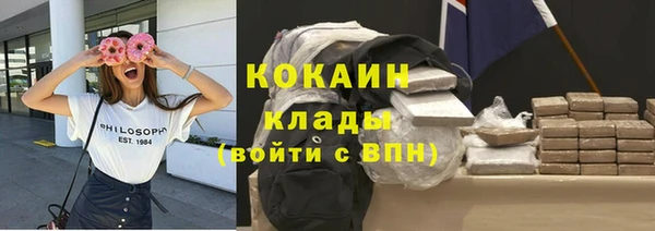 прущие грибы Россошь