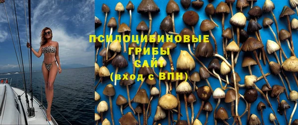 соль ск Белоозёрский